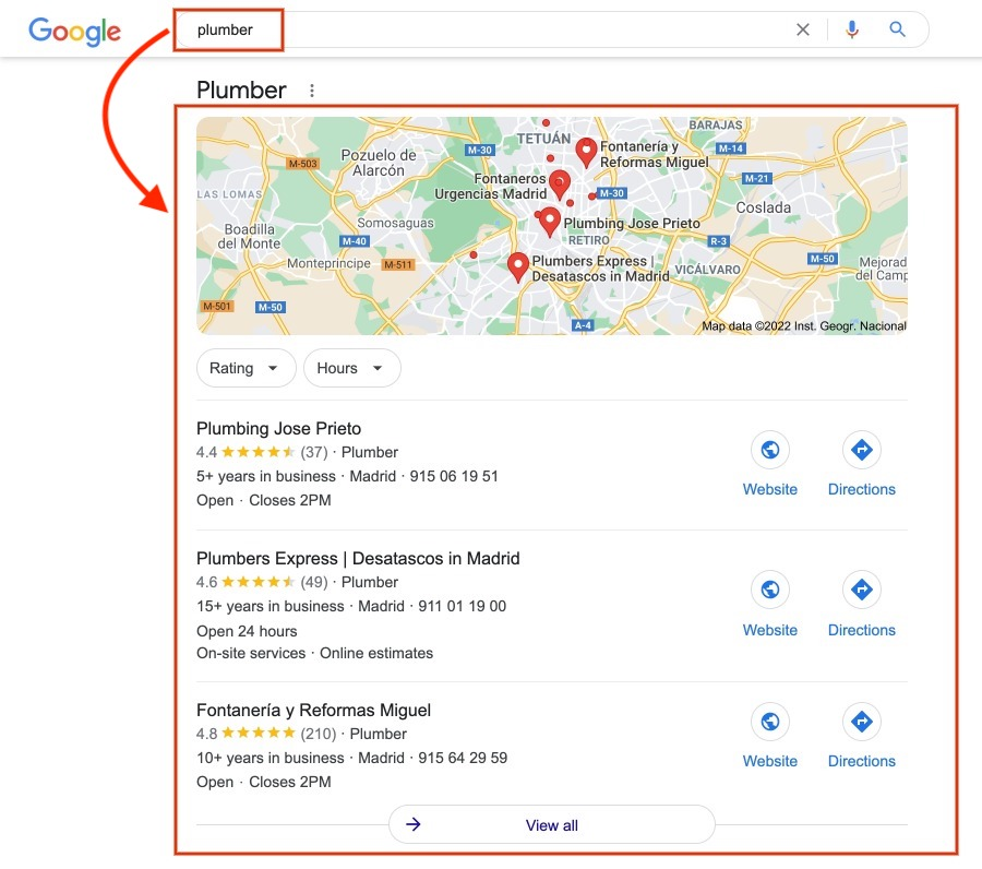 Google Map Pack result